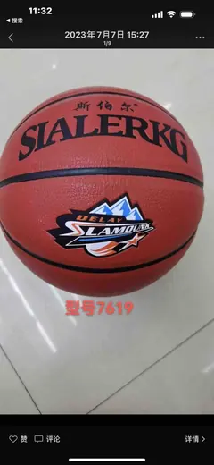 Košarkaška lopta SIALERKG