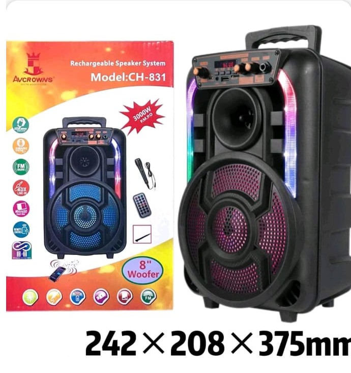 Avcrowns CH-831 prenosivi Bluetooth zvučnik od 8" sa mikrofonom