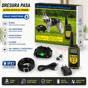 Bežični sistem za dresuru pasa sa velikim dometom