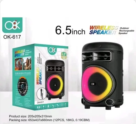 OK-617 prenosivi Bluetooth zvučnik od 6.5" sa RGB osvetljenjem